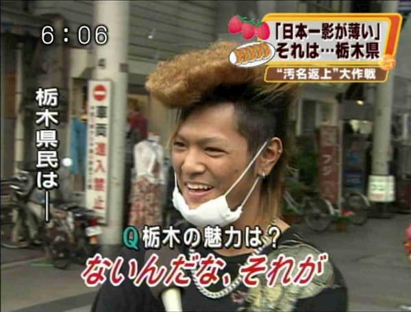 面白いテレビの街頭インタビュー傑作選：栃木の魅力は？→「ないんだな、それが」