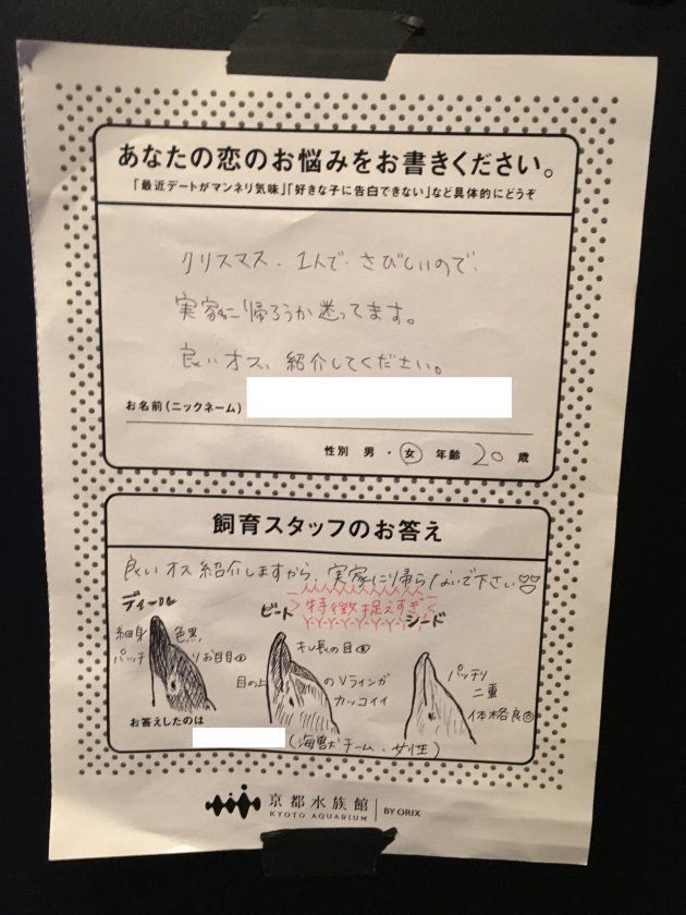 京都水族館の恋愛相談コーナーの回答が面白いｗｗｗ