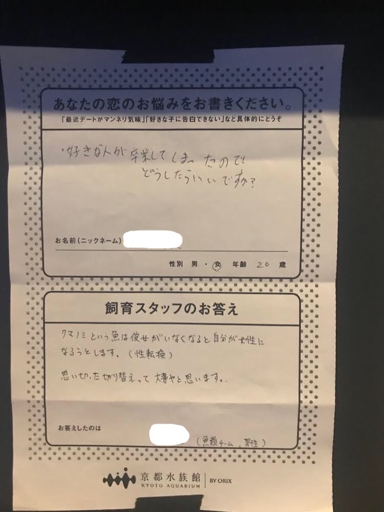 京都水族館の恋愛相談コーナーの回答が面白いｗｗｗ