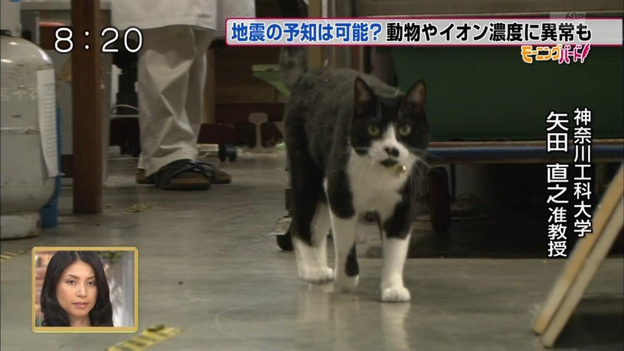 爆笑！おもしろ画像まとめ：矢田直之准教授は猫！？