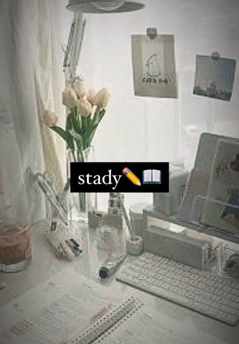 大学生のきしょいストーリー画像まとめ：stady（study書けない人）