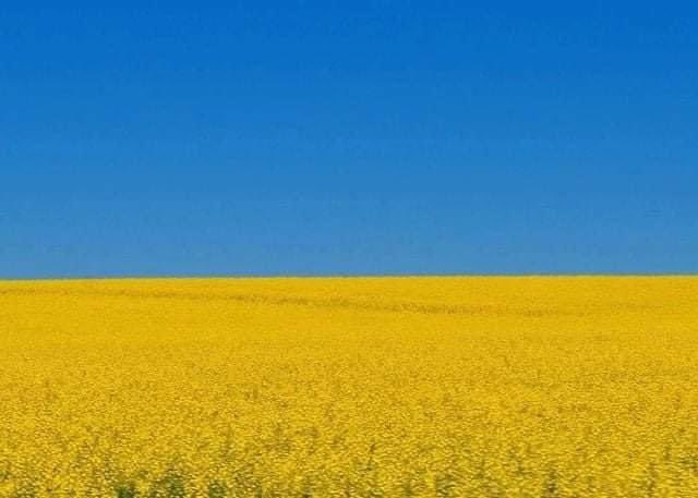 ウクライナ国旗の由来は青空の下の茶色の麦畑からきたようです