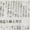 【初孫巡り嫁と対立】新聞の人生案内に投稿された内容が酷すぎる