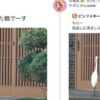「ちわー恩返しに来ました鶴です。」→「サギじゃんｗｗｗ」