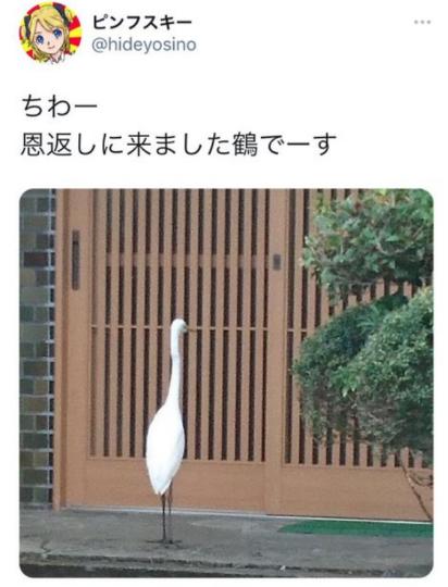 「ちわー恩返しに来ました鶴です。」→「サギじゃんｗｗｗ」