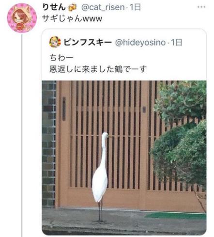 「ちわー恩返しに来ました鶴です。」→「サギじゃんｗｗｗ」