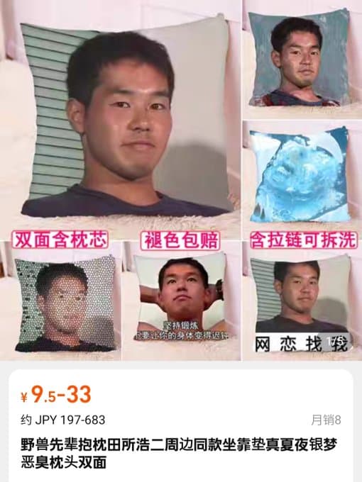 野獣先輩のクッション（通称悪臭抱枕）、中国で流行ってしまうｗｗｗ