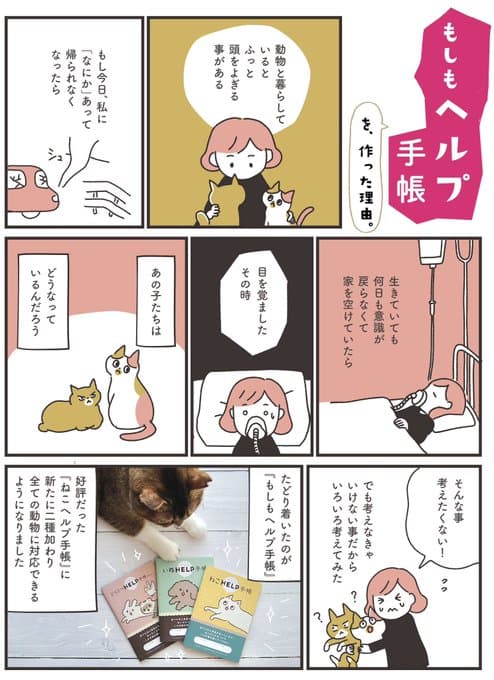 孤独死されたお家に取り残されていた猫のミユちゃん。10日間誰にも気づいて貰えずずっと飼い主さんの帰宅を待ってました