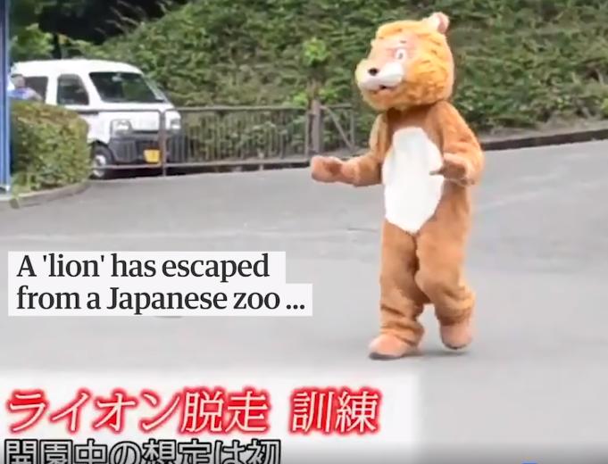 上野動物園と多摩動物公園での着ぐるみを用いた「猛獣脱出対応訓練」が面白い