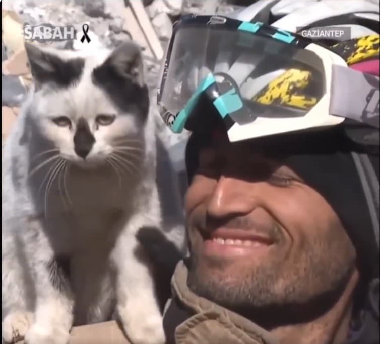 トルコ地震の129 時間目に救出された猫。消防士「所有者が見つからない場合は私が引き取ります」
