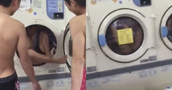 コインランドリーの洗濯機の中に入る迷惑行為