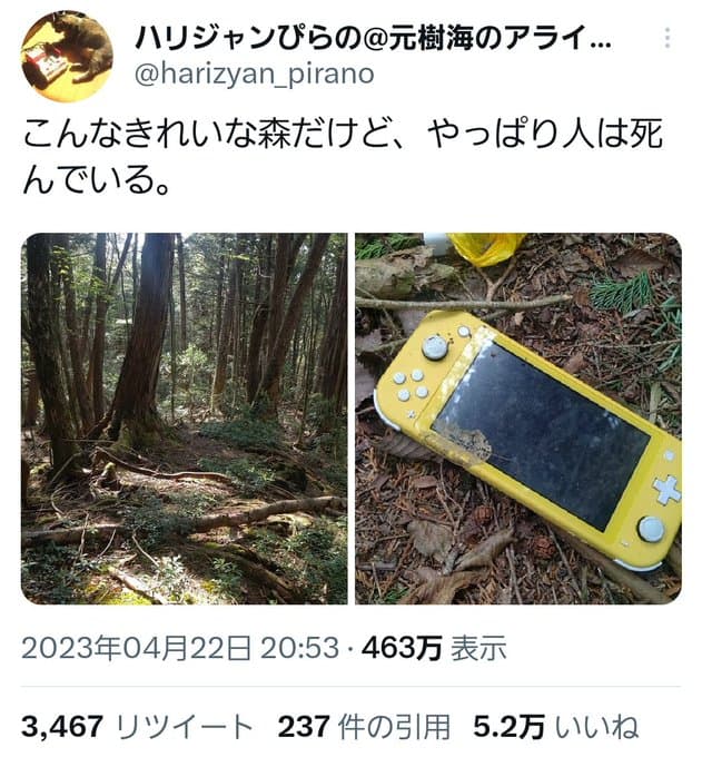 富士山・青木ヶ原樹海でSwitchを自殺者の遺留物として発見したツイートに関するやりとりがホラー