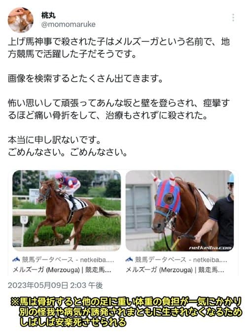 三重県・多度大社の伝統行事の「上げ馬神事」が「動物虐待では？」と批判殺到！メルズーガは安楽死に・・・