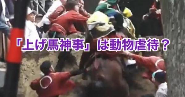三重県・多度大社の伝統行事の「上げ馬神事」が「動物虐待では？」と批判殺到！メルズーガは安楽死に・・・【動画有】