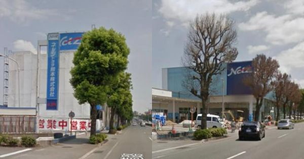 ビッグモーターの除草剤疑惑の中、ネッツトヨタ熊本に面した街路樹が不自然に枯死状態→その後伐採されていた・・・