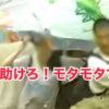 DQNの川流れ(玄倉川水難事故)とは？生き残りの加藤直樹＆娘の加藤朝香の現在や犠牲者や事故の原因まとめ