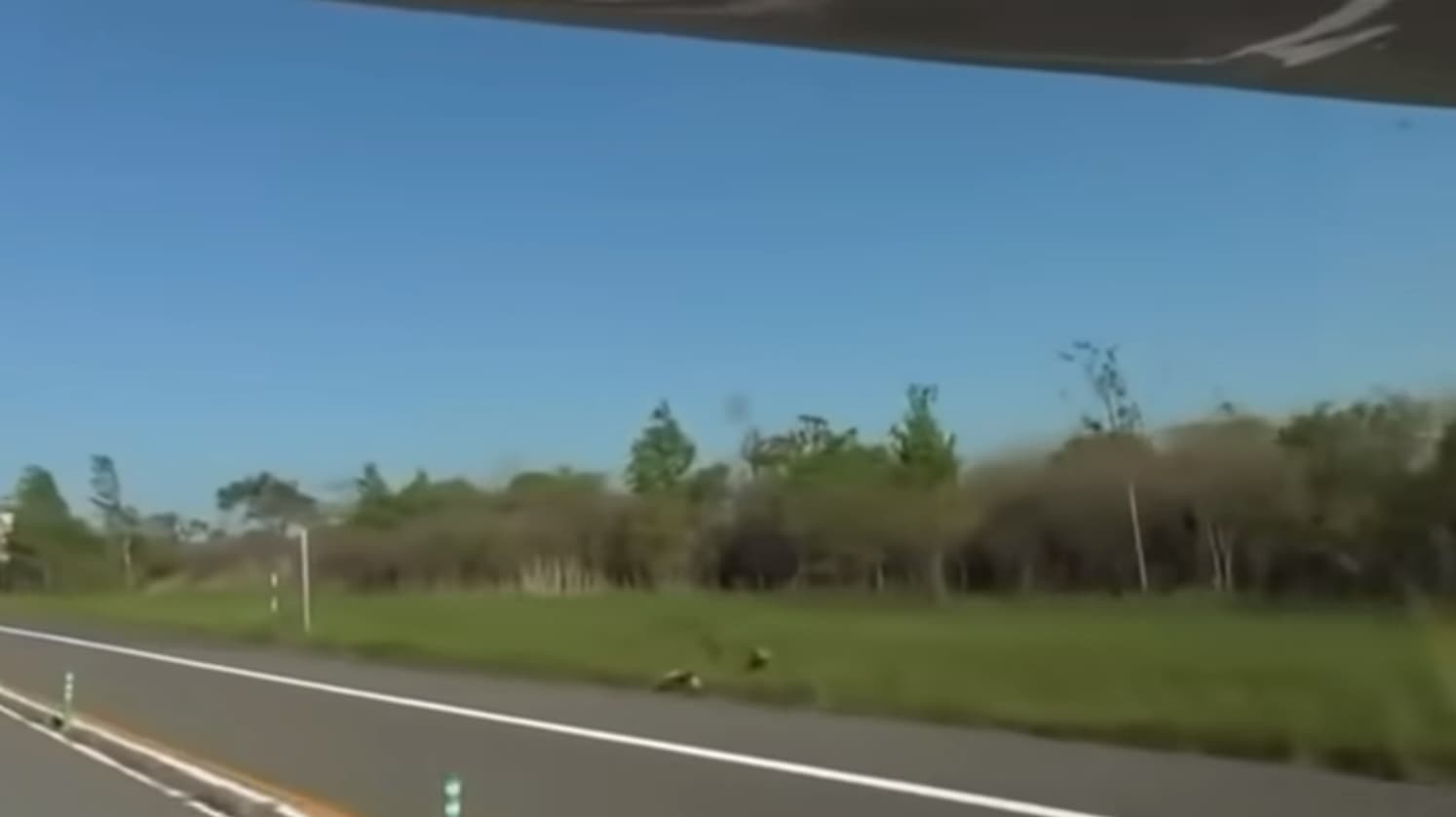 オタク5人のキャンピングカー横転事故の概要・動画