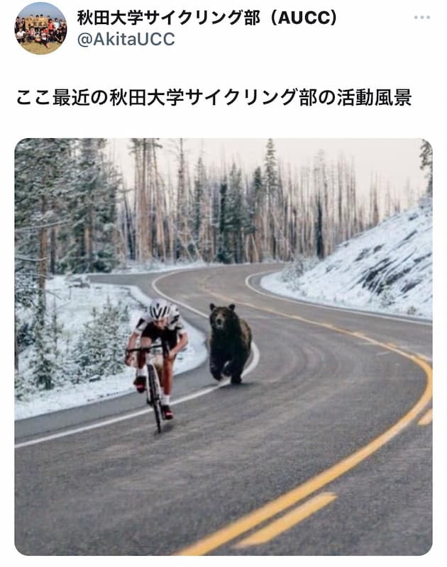 秋田大学サイクリング部さん、野生の熊をトレーナーにした本格的な練習風景を公開してしまうｗｗｗ