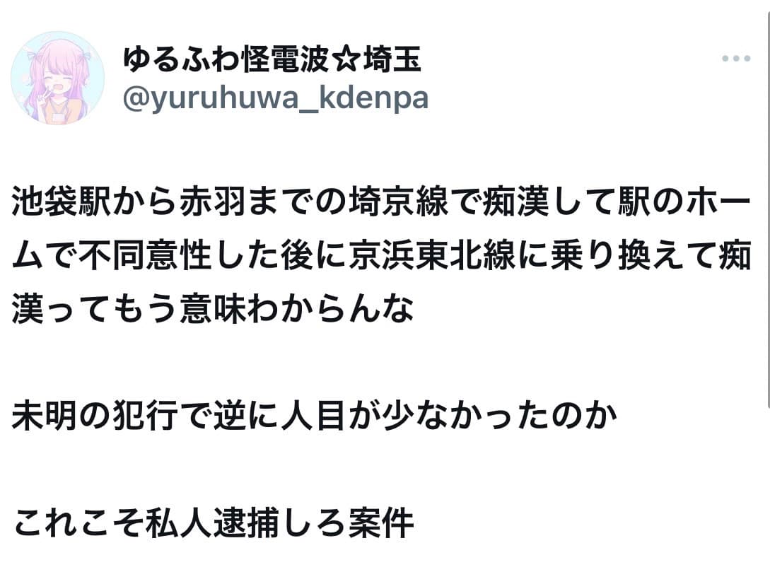 埼京線で痴漢して、さらに京浜東北線ホームまで追い回して、わいせつ行為をした鈴木一茂容疑者を逮捕！