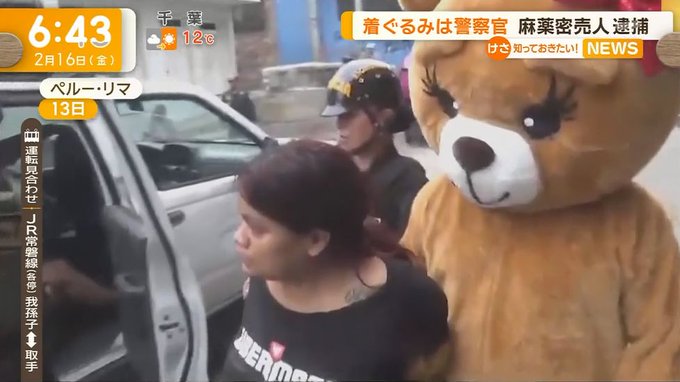 着ぐるみのクマに扮した警察官、麻薬密売人を逮捕【動画有】