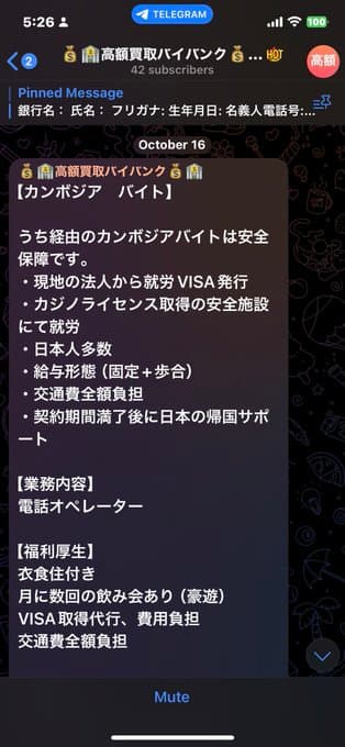 【潜入】闇バイト業者とLINEで会話してみた結果・・・