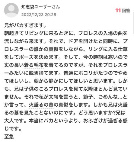 兄がバカすぎます。朝起きてリビングに来るときに、プロレスの入場の曲を流しながら来ます。